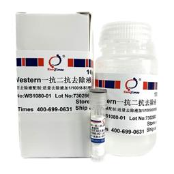 Western一抗二抗去除液（中性，劇烈型）