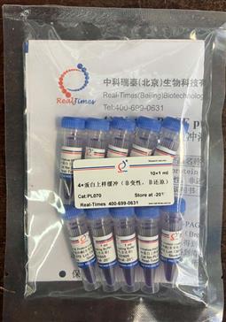 4×蛋白上樣緩沖（非變性，非還原）