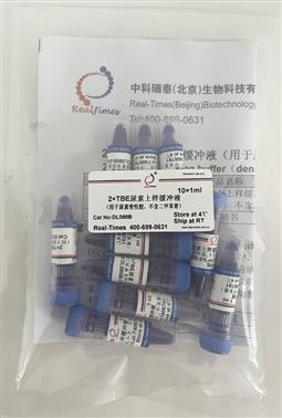 2×TBE尿素上樣緩沖液（用于尿素變性膠，不含二甲苯菁）