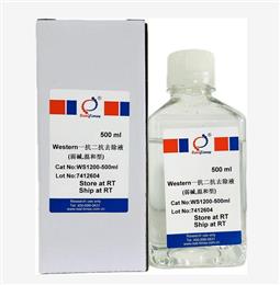 Western一抗二抗去除液（弱堿，溫和型）