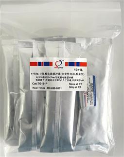 1×Tris-甘氨酸電泳緩沖液（非變性電泳，粉末型）